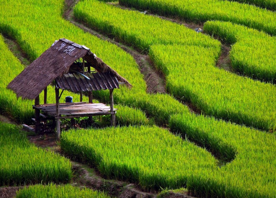 چرا مازندران بهترین گزینه برای سرمایه‌گذاری ملکی است؟